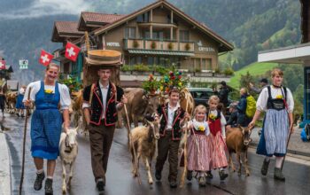 Experience the Charm of Alpine Cow Parades in Switzerland