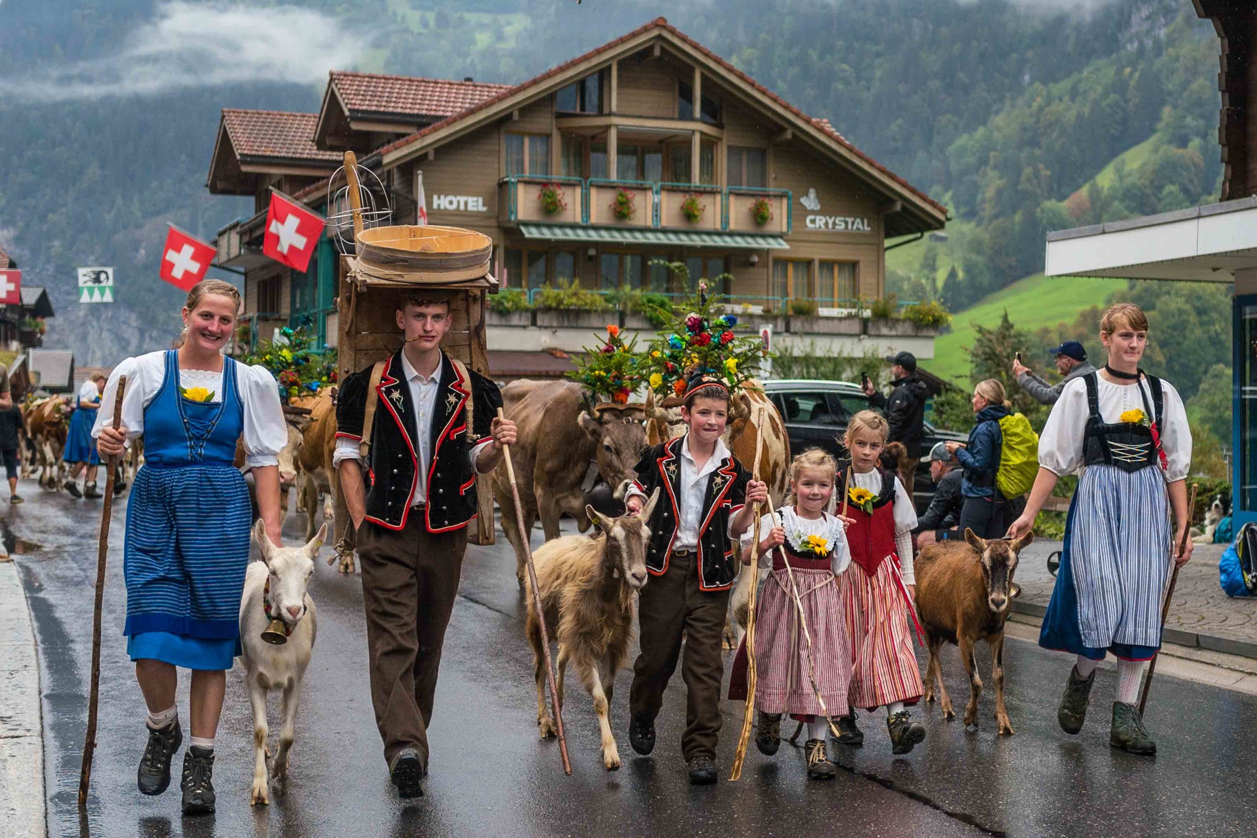 desalpe swiss cow parade lauterbrunnen switzerland thetasteedit sarah stanfield 1080417 scaled 1