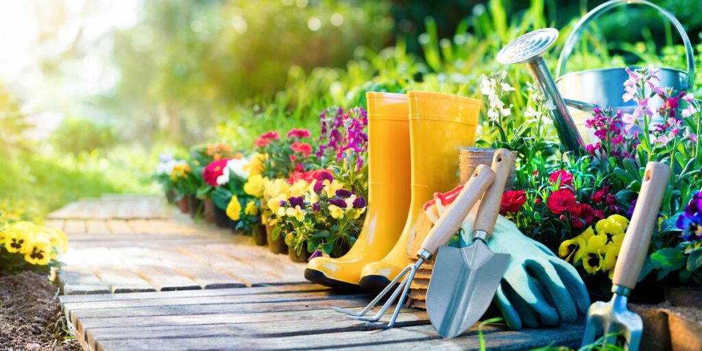 Cultivating Green Spaces: Gardening in Georgia with a Twist of Innovation