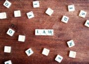 How Much is an LLC? Learning More about Establishing the Entity