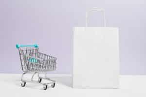Role Of The Right Ecommerce Hosting Plan In Building A Successful Online Business