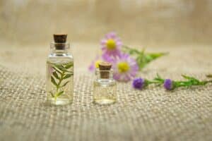Top Essential Oils To Combat Pesky Pests In Your Home