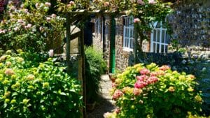 How to keep your backyard organized and clean