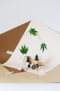 The CBD Oil Trend and Its Popular Uses