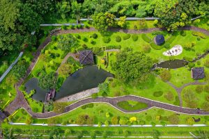 Do I Need a Landscape Designer?