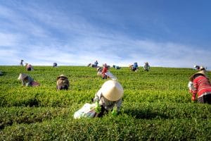 3 Things To Know About Professional Farmers