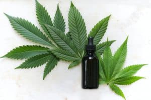 How to Start Online Weed and CBD Business