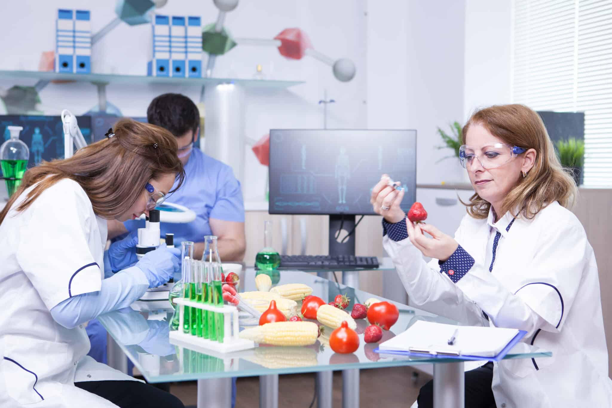 treatment study genetically engineered strawberries laboratory by group scientist test tubes with green solutions scaled