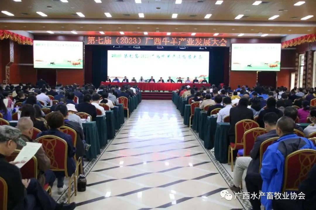 ���߽죨2023������ţ���ҵ��չ���ɹ��ٰ죡